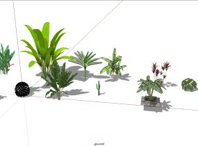 園林景觀植物樹-18